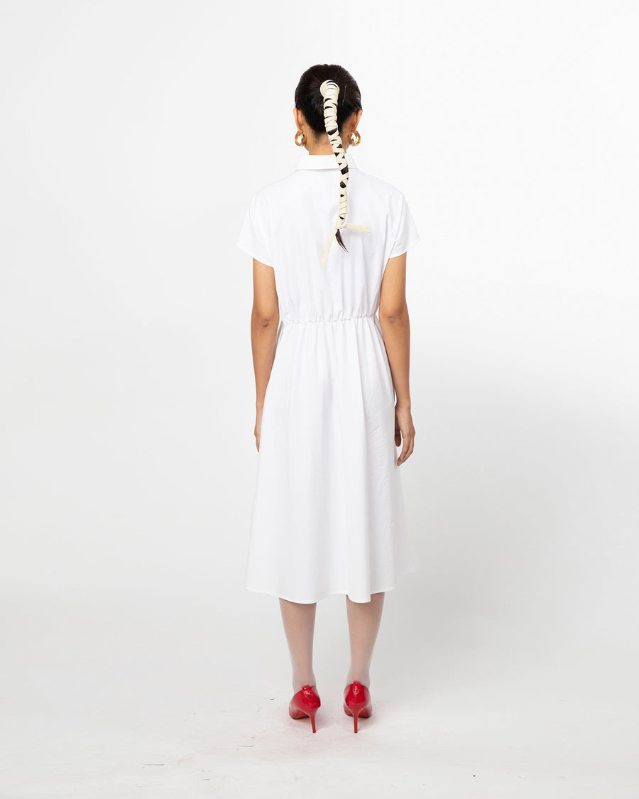 Curtain Dress