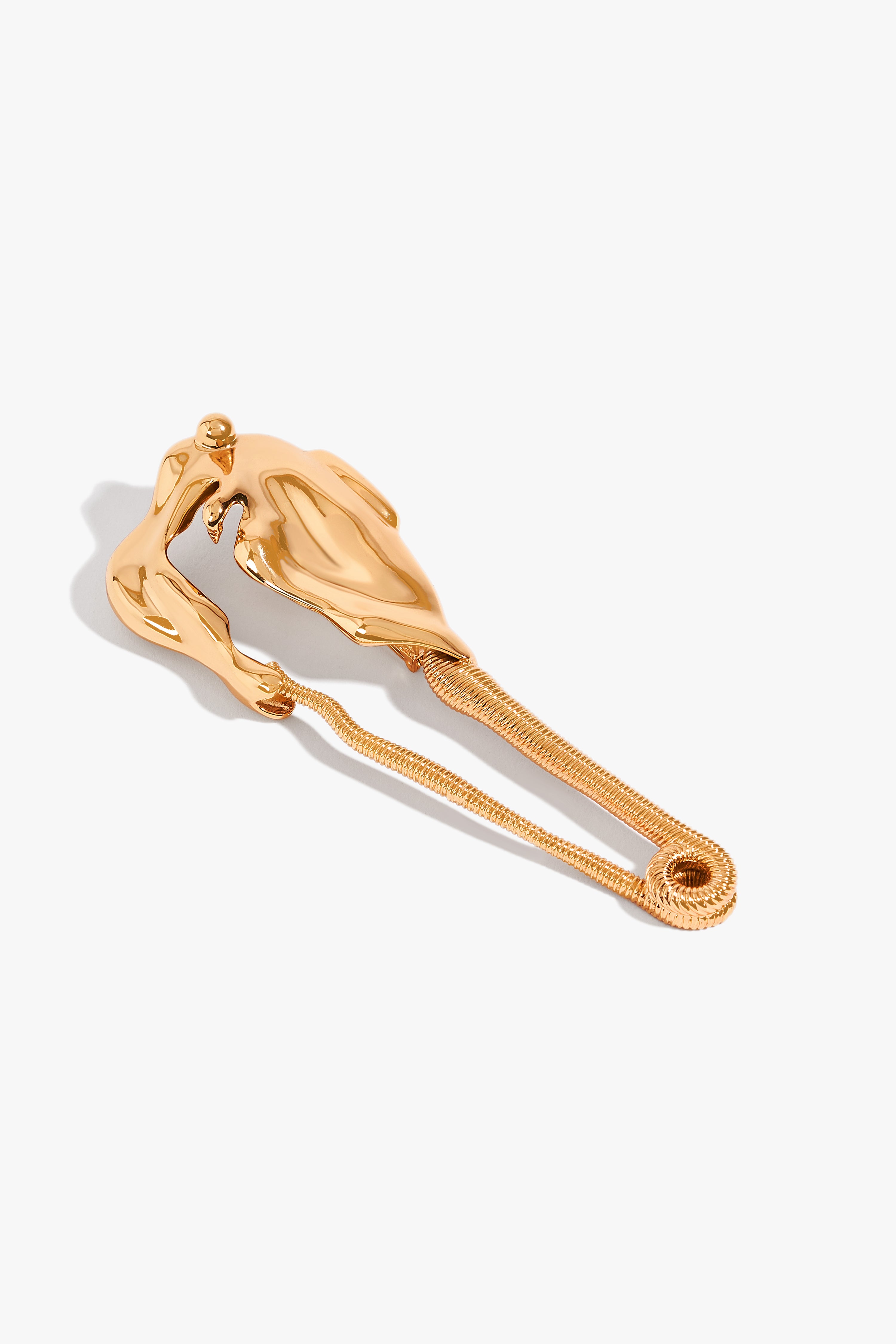 Zoom