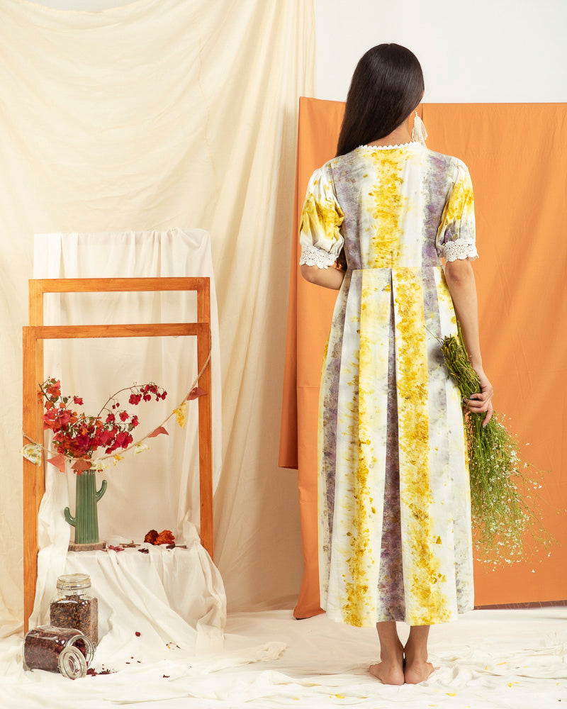 Sienna Dress with Botanical Prints with Multi Color Print